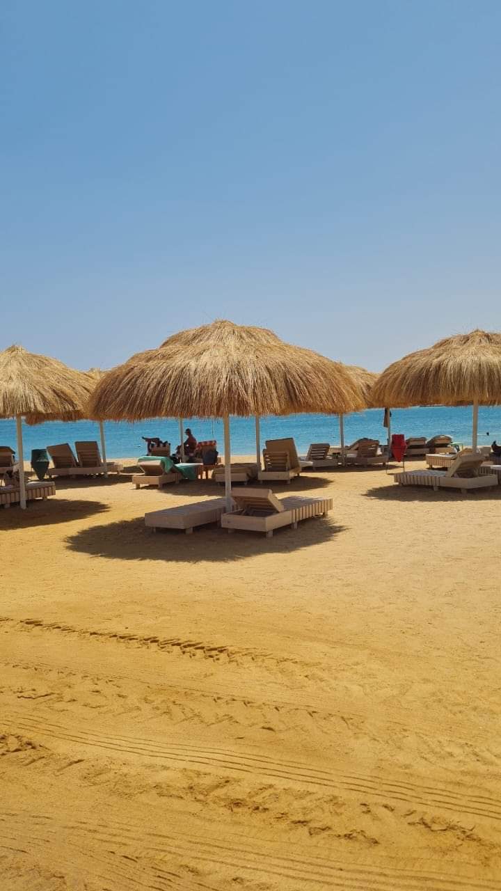 furnished-apartment-sale-pool-view-hurghada